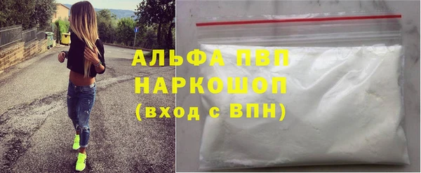 СК Белокуриха